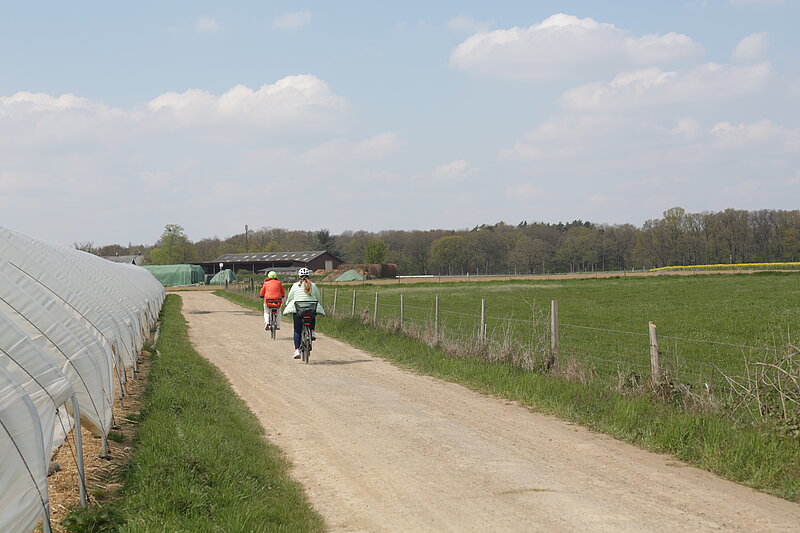 Die Weite Schleswig Holsteins auf dem Fahrrad erleben