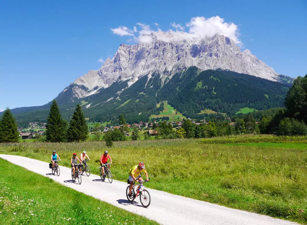 weichster fahrradsattel Roysmart Gel Fahrradsitz, Fahrradsattel Damen Herren, Breiter Weicher Komfortabel Atmungsaktiv Stoßdämpfend Ergonomisch wasserdichte Fahrrad Sattel Sport & Freizeit Wähle Deine Größe:XS MWST19 Walnüsse: So trocknen und