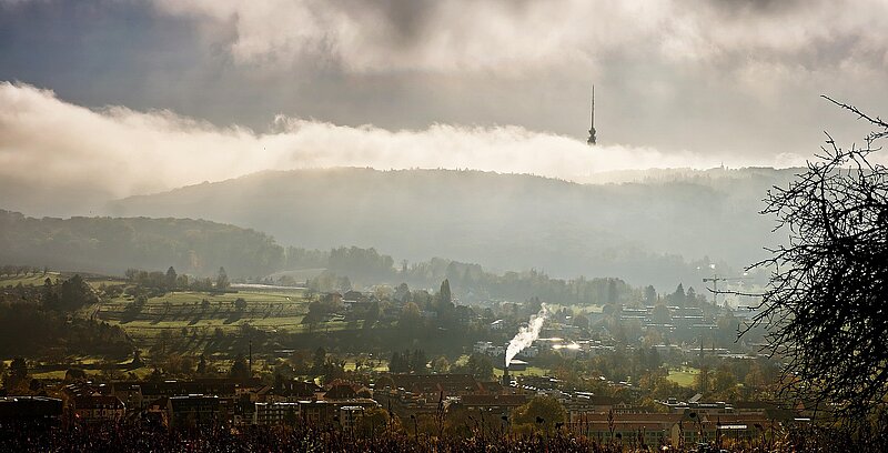 Foto: Myri Roet by pixabay